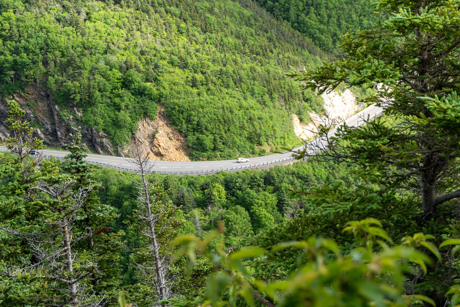 The Cabot Trail winding through highland forest, Cape Breton.