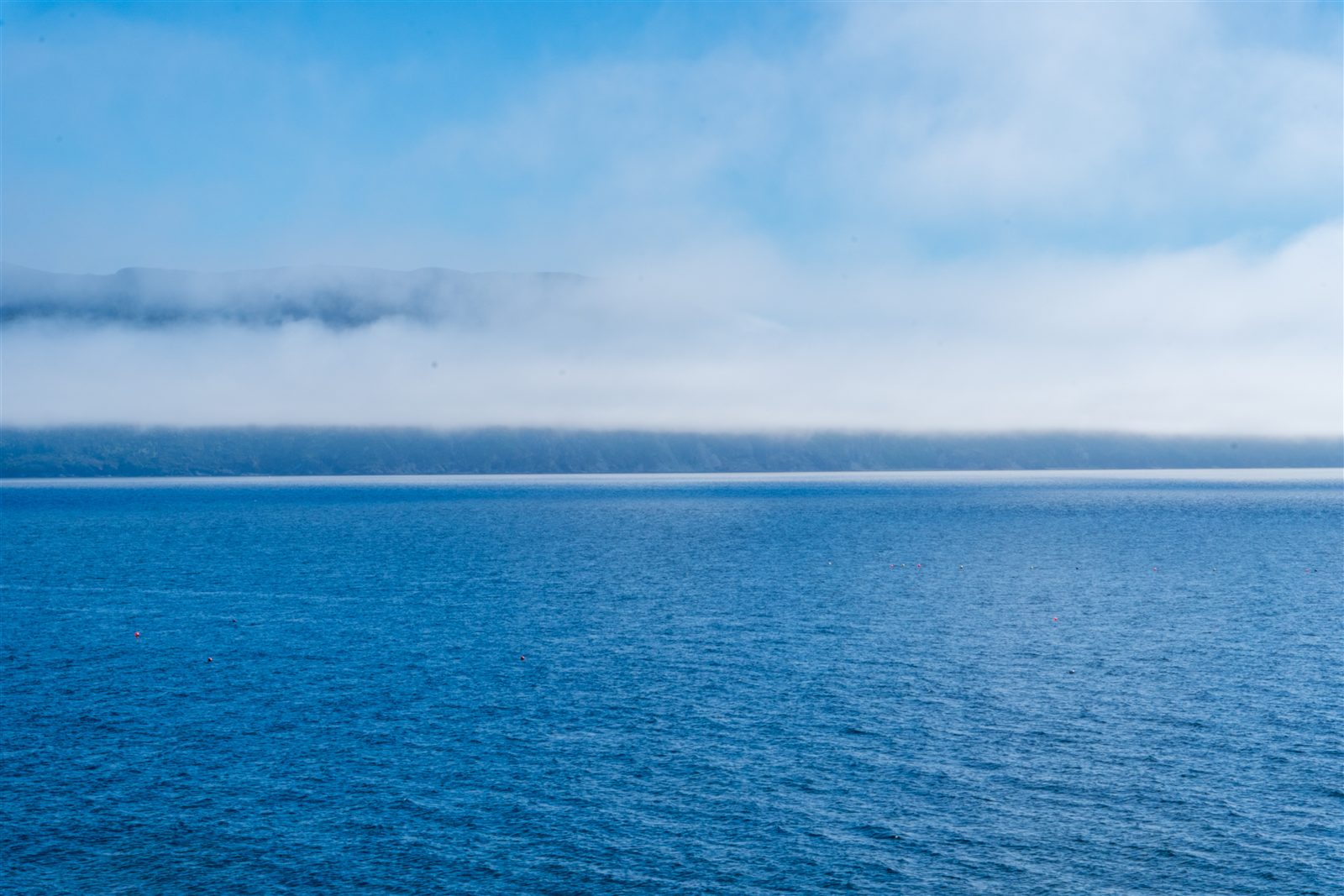 Fog rolling over an Atlantic coastline at sunrise.