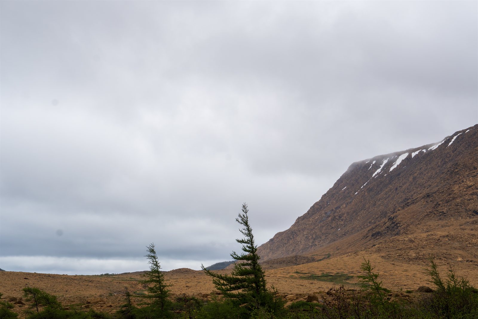 Mist over the alpine barrens of the Gros Morne Tablelands, Newfoundland.