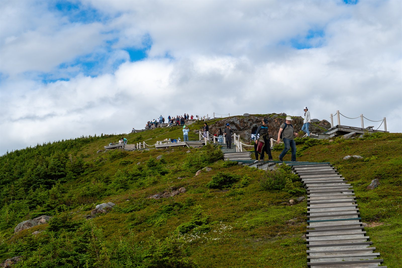 Boardwalk trail along the Skyline headland, Cape Breton.