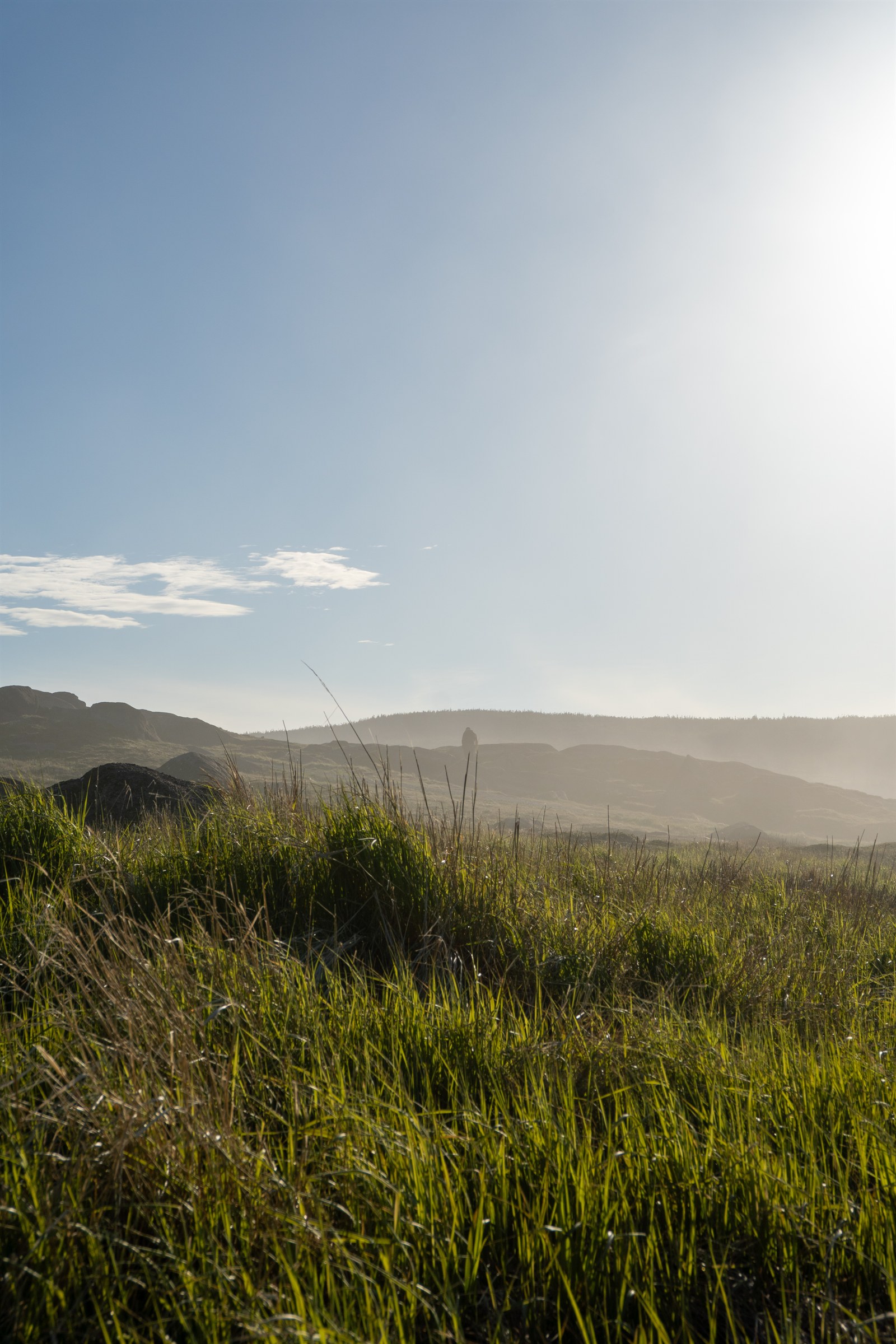 A lone hiker on a misty trail through the Gros Morne barrens, Newfoundland.