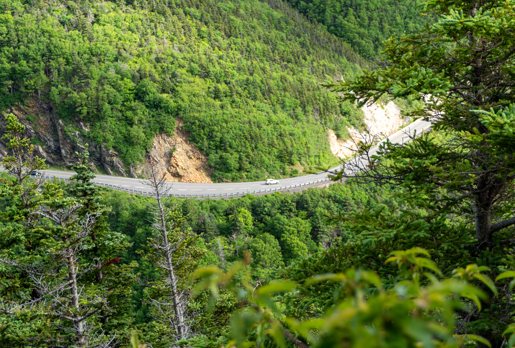 A narrow suspension bridge crossing a steep green forested valley.