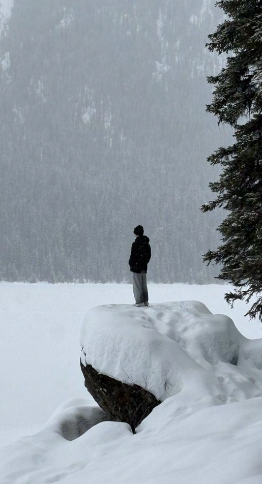 A lone figure standing on a snow-covered rock outcrop in falling snow, with conifers behind.