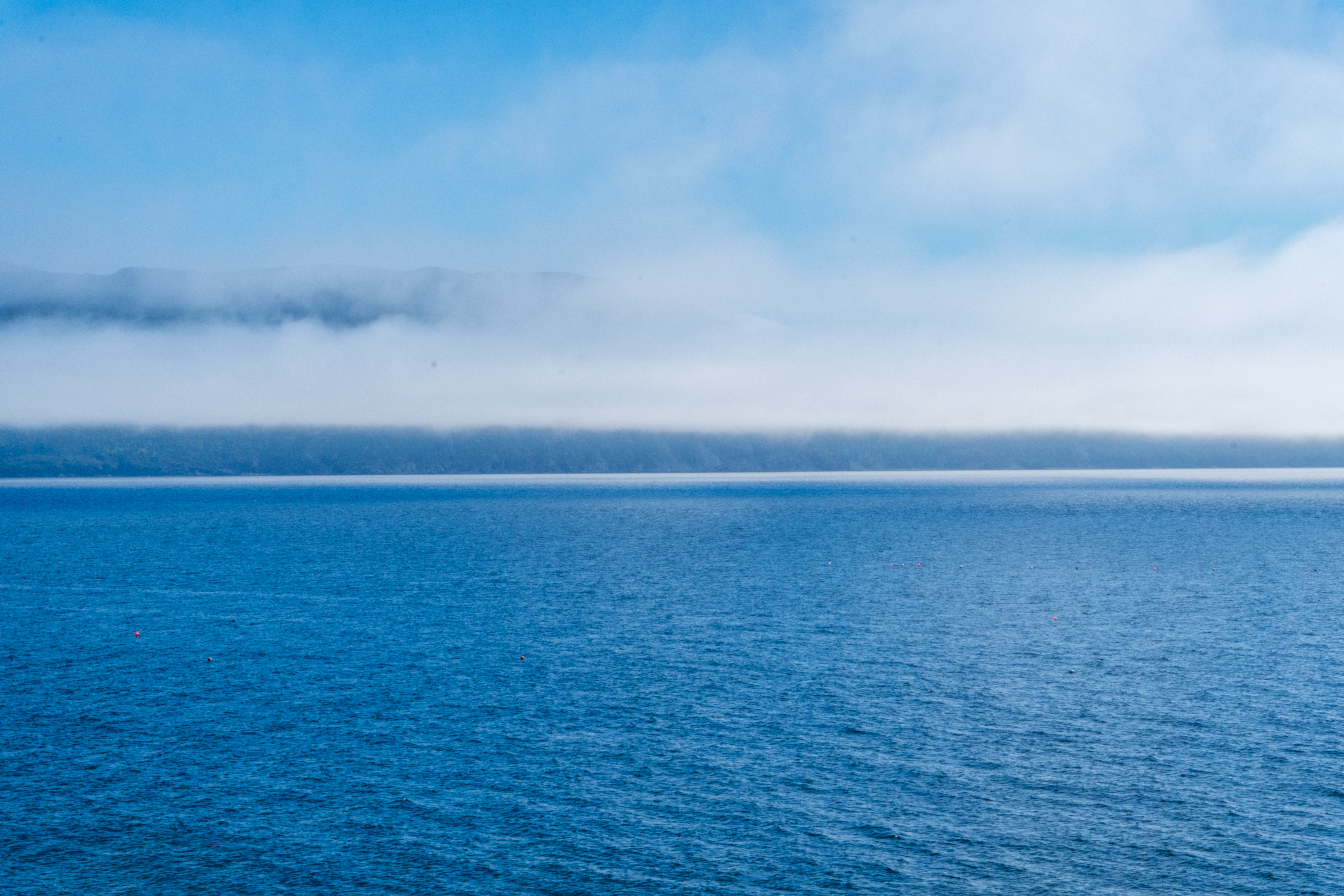 Fog rolling over the Atlantic coastline at sunrise