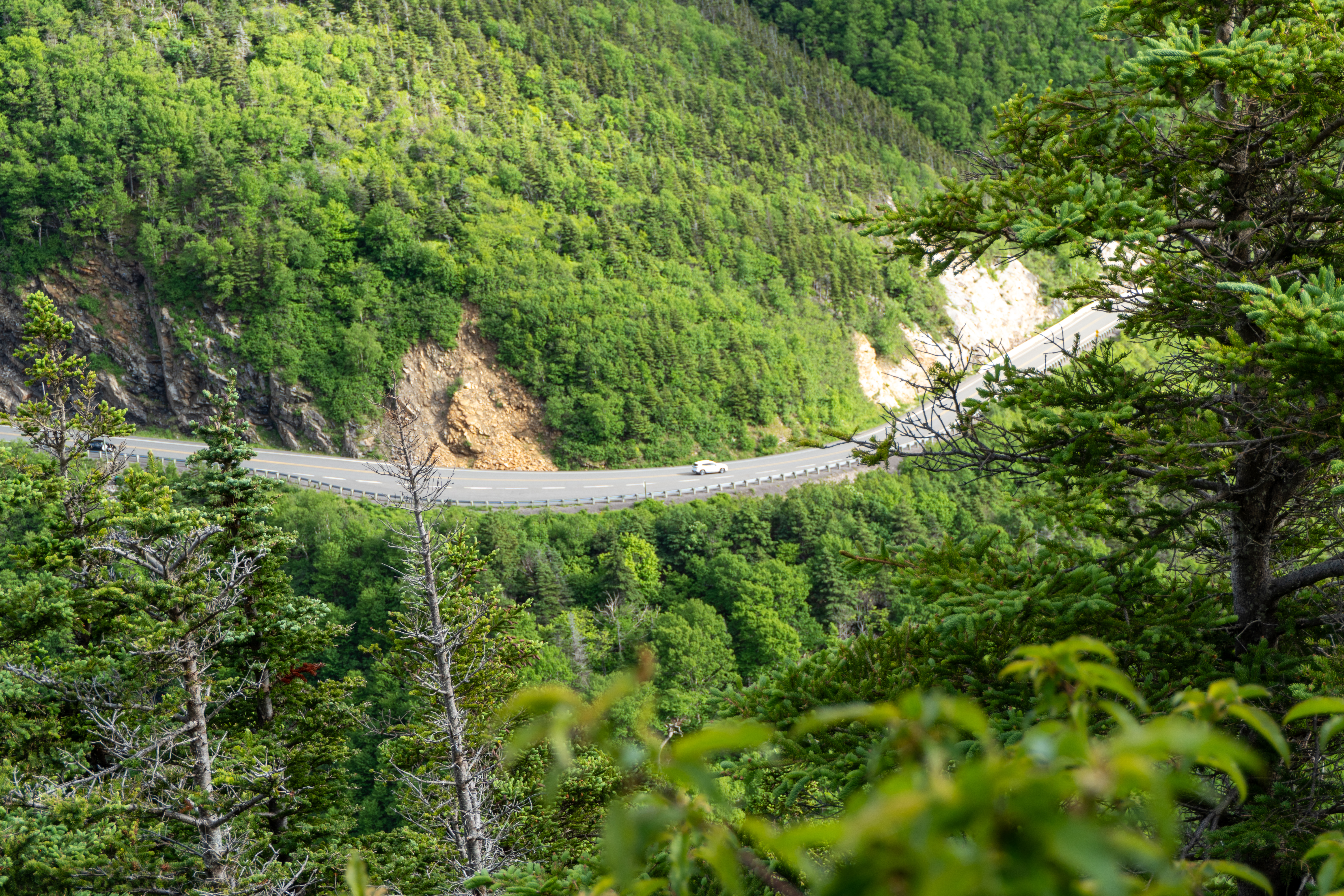 The Cabot Trail winding through highland forest, Cape Breton