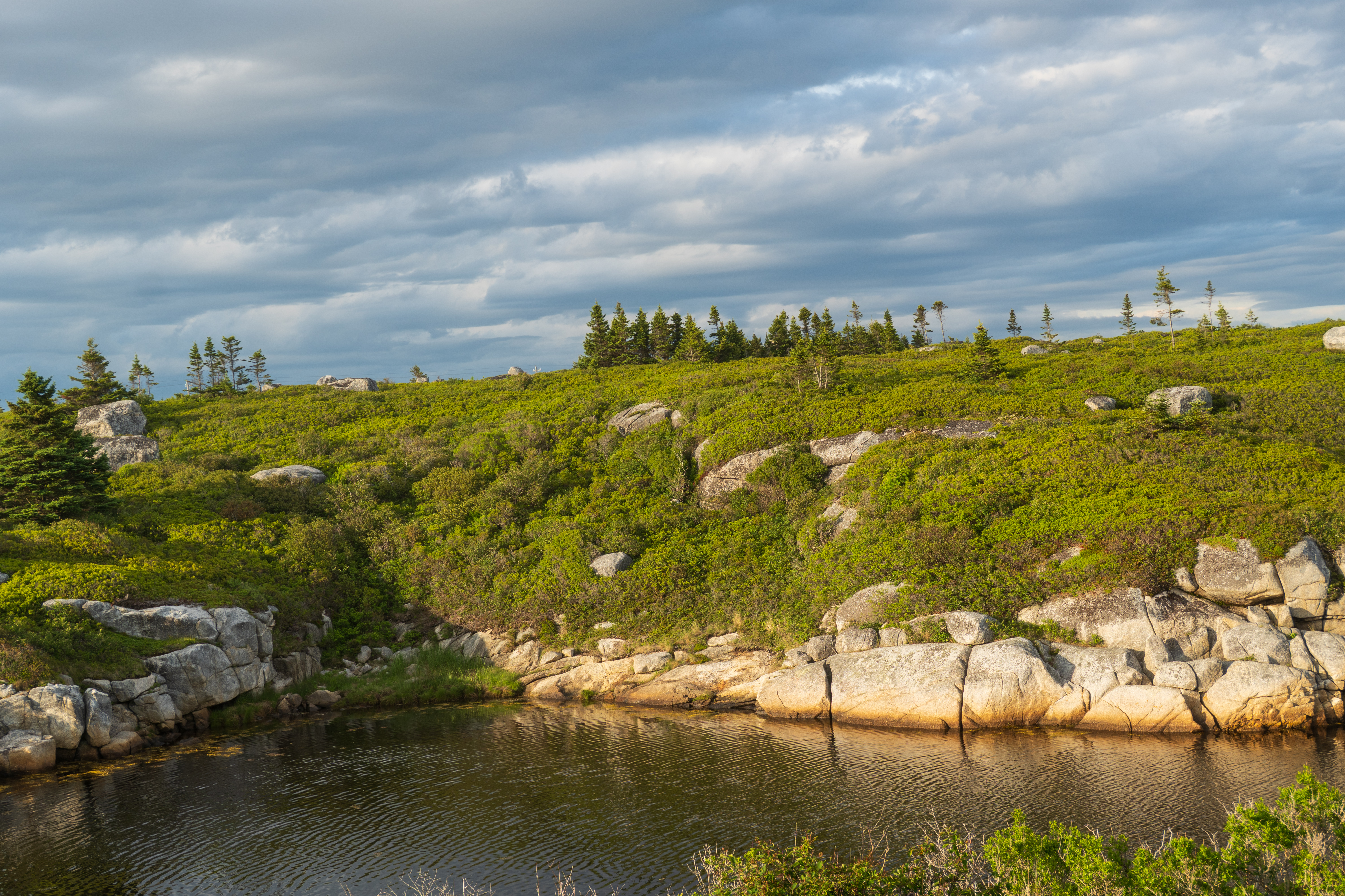 Granite barrens and a tidal pool along the Middle Head Peninsula, Cape Breton