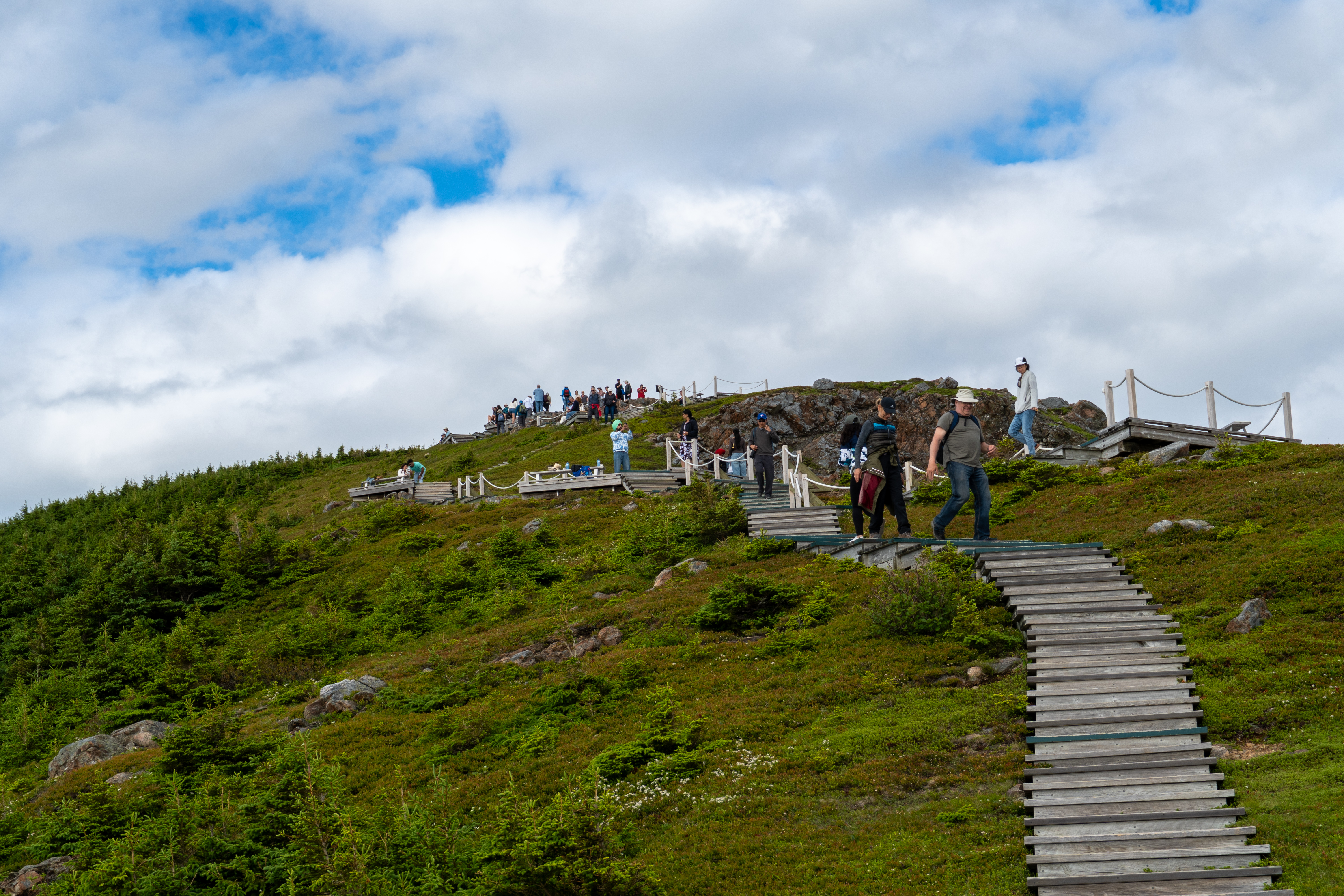 Boardwalk trail along the Skyline headland, Cape Breton